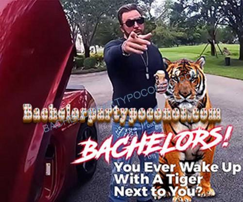 Poconos bachelor party planner — entertainers to your cabin